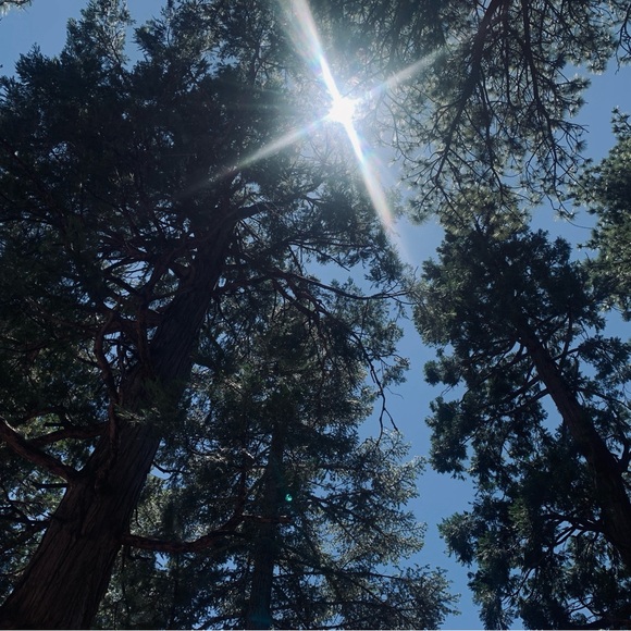 Meet your Posher, Kel - Picture 3 of 4